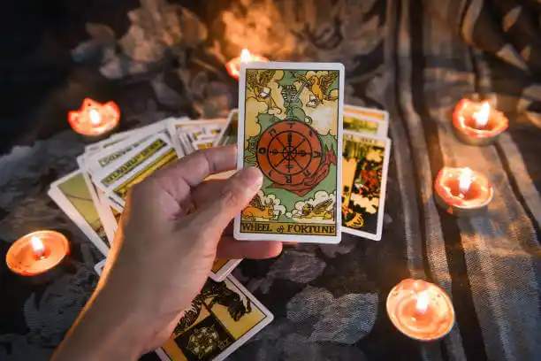 tarot cards Locust Valley